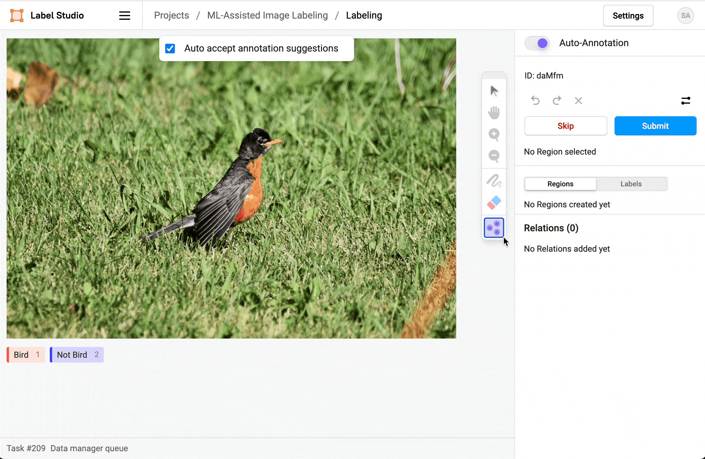 Same workflow as the owl gif, but this time featuring a robin or woodpecker-like bird.
