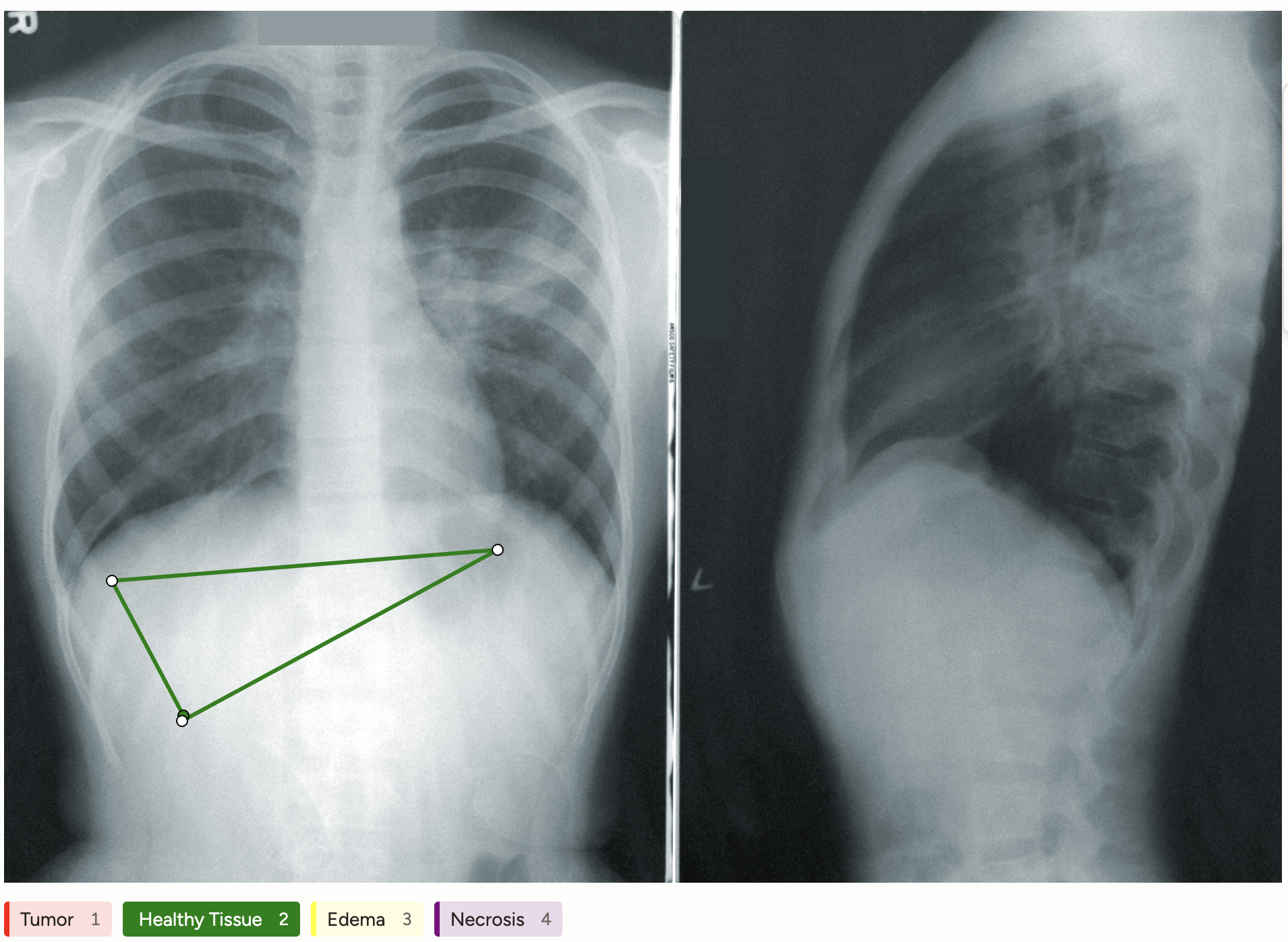 Screenshot of labeling interface