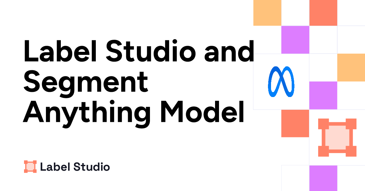 Improving Annotation Efficiency with Segment Anything and Label Studio ...